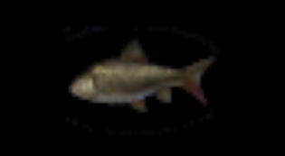 Файл:Ulovy-fish-logo.png